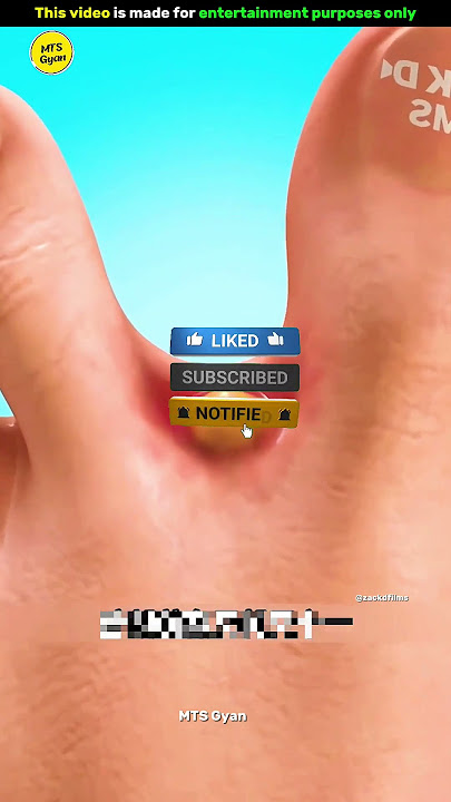 A Female Mosquito Is Dangerous 😲| #biel #Shorts