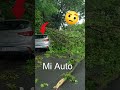 Tormenta arrasó Buenos Aires y rompió la Floralis Genérica de Recoleta