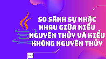 ⭐ Lập trình Java - So sánh sự khác nhau giữa kiểu nguyên thủy và kiểu không nguyên thủy