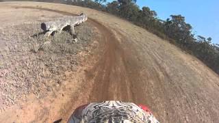 riding out daisy patch