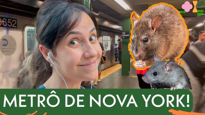 Nova York está cheia de Ratos #ratosemnovayork #curiosidades #foryou