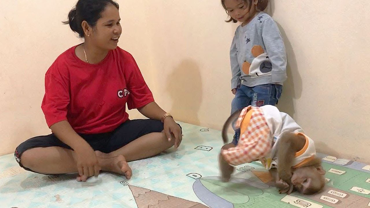 Hilarious Jason Loveable Doing Shy When Mom & Sister Satya Interest