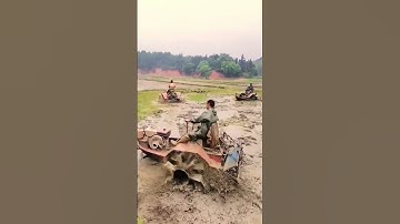 Experts in the process of plowing rice fields. #shorts