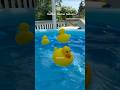Rubber Duckie Balloon #balloon #globos #partydecoration