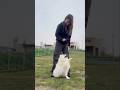 【新技】愛犬との可愛すぎるお揃いトリック🥹💕💕