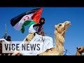 The Sahara's Forgotten War (Full Length)