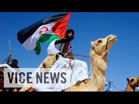 The Sahara&rsquo;s Forgotten War (Full Length)
