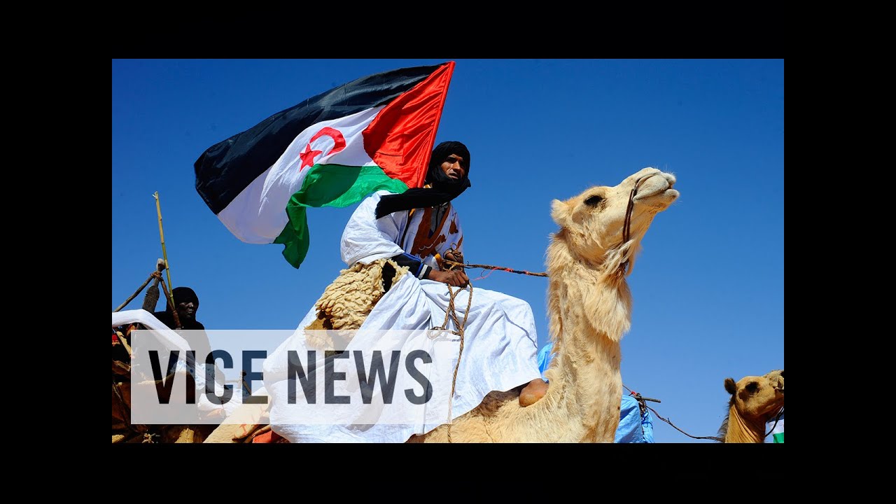 The Sahara's Forgotten War (Full Length)