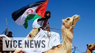 The Sahara's Forgotten War (Full Length)