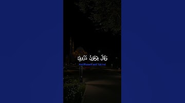 الآية 26 إلى الآية 28 من سورة غافر #قران_كريم #قرآن #قرآن_كريم #القرآن_الكريم #اكسبلور #المغرب