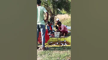 Fishcuting Machli Bajar Machli Mandi 2025 