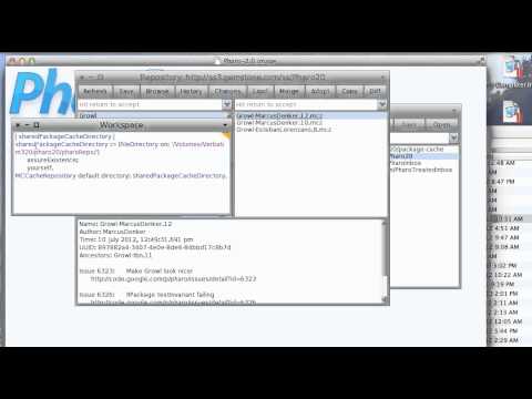 ST 4U 261: Setting up a Shared Monticello Cache
