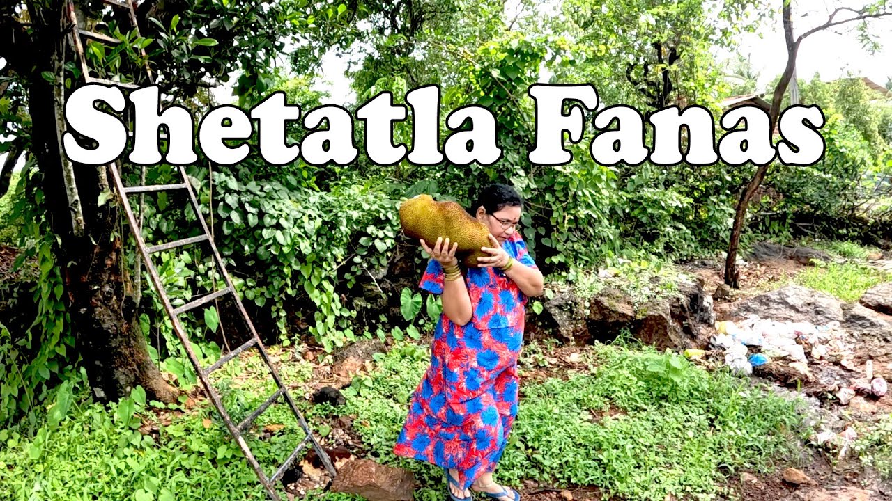 फणस आणला शेतातून | Brought Jack Fruit from Farm | Shubhangi Keer
