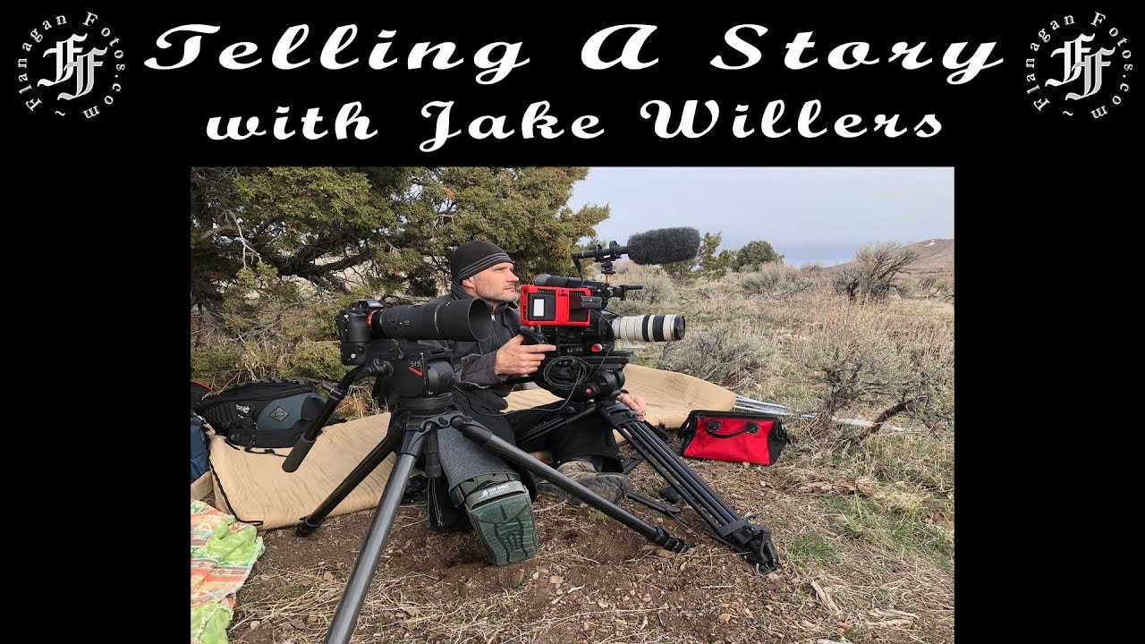 Telling A Wildlife Story in Video with Jake Willers