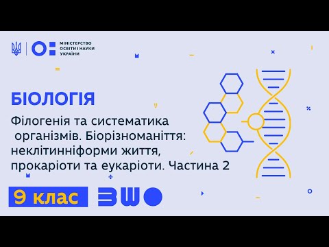 9 клас. Біологія. Філогенія та систематика організмів. Біорізноманіття. Частина 2