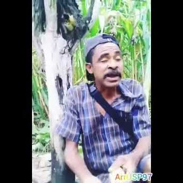 story WA lucu || ini dawan pak || teu'k pena mnatu || kefa punk lucu