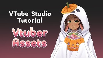 How to Use and Customize Vtuber Assets in VTube Studio