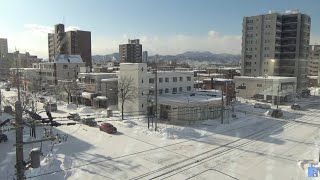 LCD元町駅周辺(札幌市営地下鉄東豊線)ライブカメラ