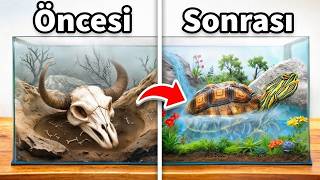 Terk Edilmiş Bir Kaplumbağanın Yuvasını Dönüştürdüm