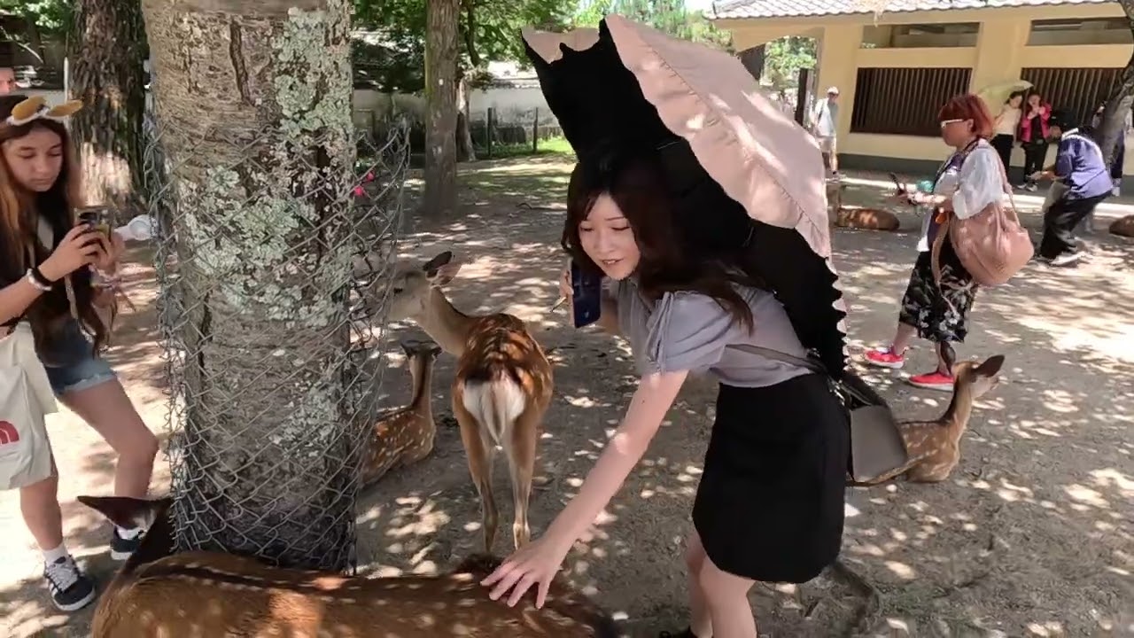 נארה פרק יפן חלק 2