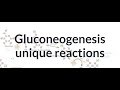 GLUCONEOGENESIS IN 12 MINUTES. Simplest explanation.