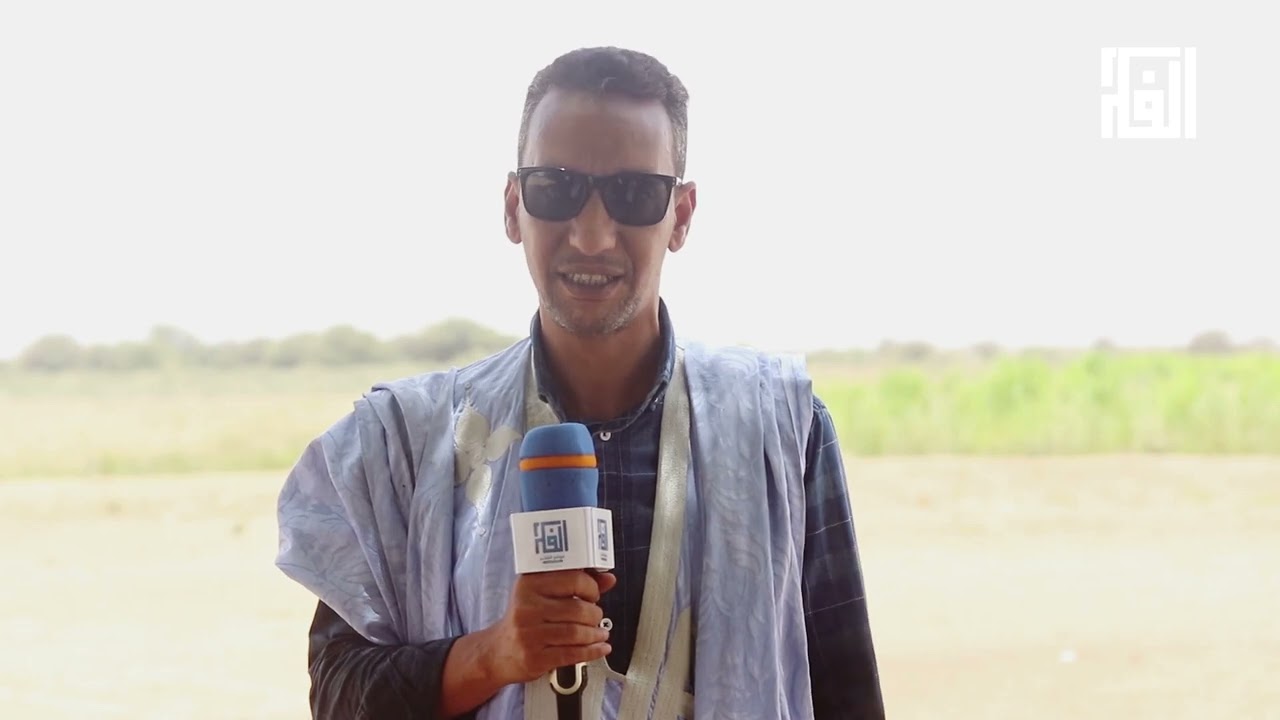 الزراعة المروية في شمامه ..مشاكل عالقة ومطالب ثابتة