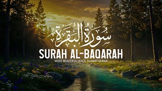 Download Lagu Surah Al-Baqarah Full | Powerful Protection \u0026 Blessings | Soothing Recitation (HD) MP3 Download Lagu Surah Al-Baqarah Full | Powerful Protection \u0026 Blessings | Soothing Recitation (HD) MP3