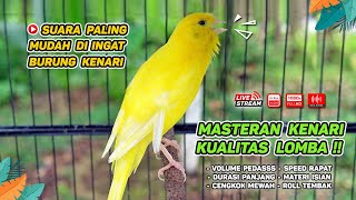 Kenari GACOR‼️ Masteran Burung Kenari PAUD dan Pancingan Kenari MACET BUNYI ( EPISODE 666)