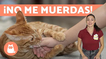 ¿Por qué mi gato me agarra el dedo y me muerde?