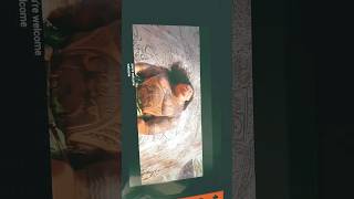 Your Welcome Fnaf Remix