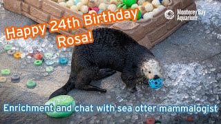 Happy 24th Birthday, Rosa | Shellebratory enrichment and chat with sea otter mammalogist