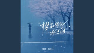 樱花纷飞淋过雨