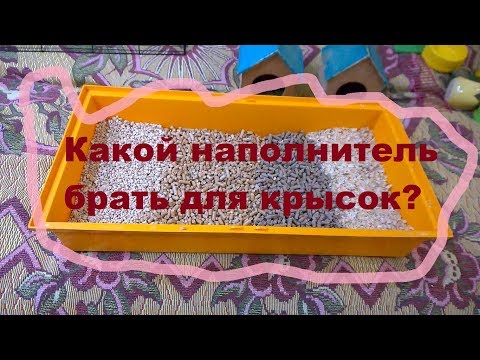 Какой наполнитель брать для крысок?