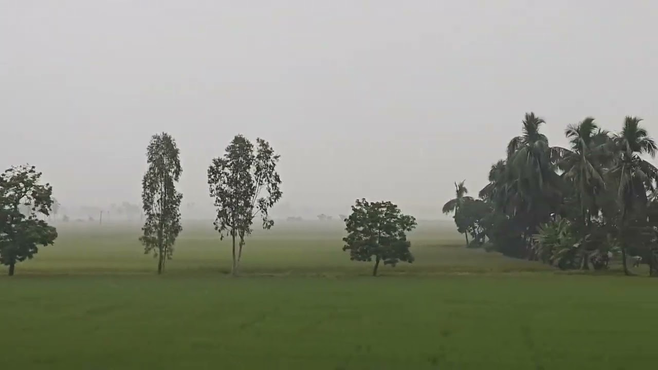 Chagallu, Pasivedala, Green, Fields, Nature, Beautiful 