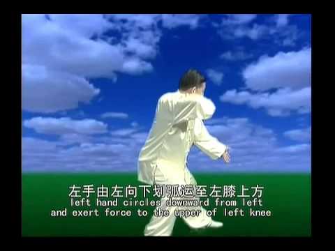 Chen Xiao Wang Complete Chen Taijiquan Collection 33DVDs - Serie 3: 38-posture Frame