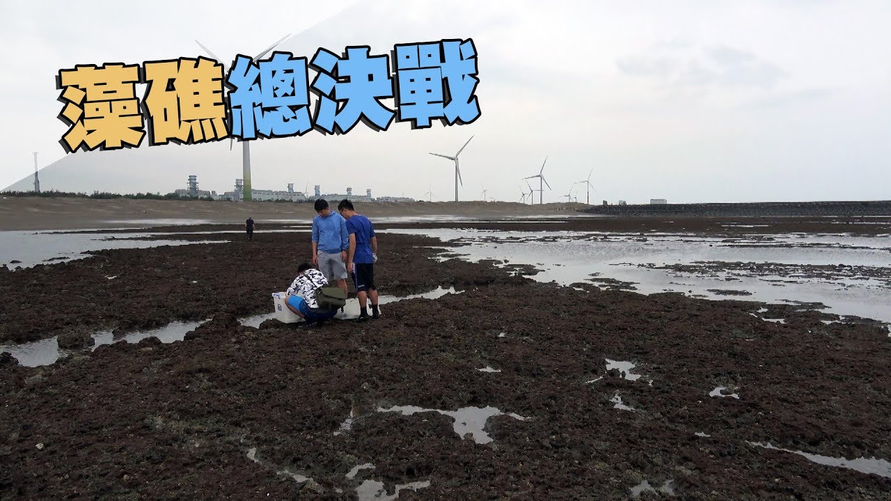 【藻礁VS天然氣】藻礁總決戰｜生態與能源的攻防 (我們的島 第975集 2018-10-08)