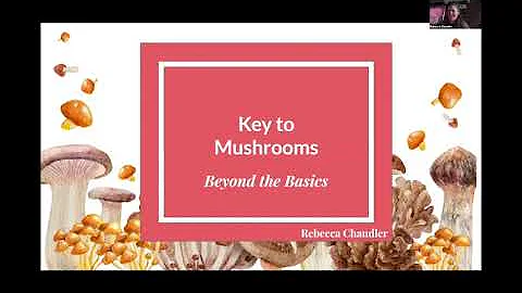 The Key to Mushrooms: Beyond the Basics by Rebecca...