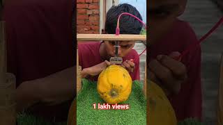 New science #experiment# for short trending #viral #video for #papaya cutting #🥑🍋🍋🥑✂️🪓✂️🙏🙏😱