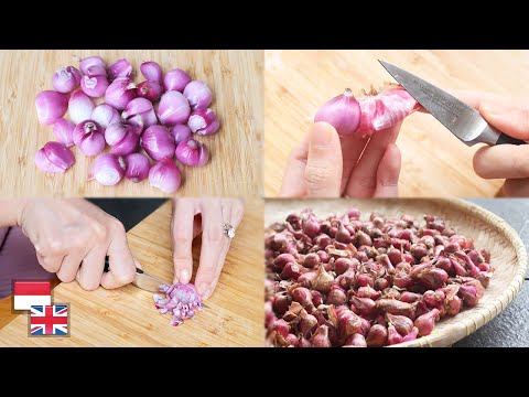 Video: 3 Cara Memanggang Chestnuts