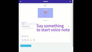 Voinote Demo