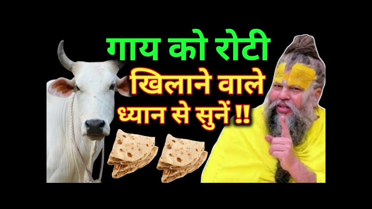 गाय को रोटी खिलाने वाले ध्यान से सुनें । होगी पैसों की बारिश । Premanand Ji Maharaj 