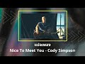 แปลเพลง Nice to Meet You - Cody Simpson (Thaisub ความหมาย ซับไทย)