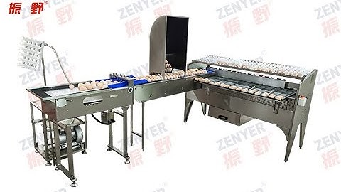 ZENYER NEW 102BS Egg grader egg grading machine 5400 eggs per hour
