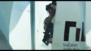 The God Run In Pinwheel