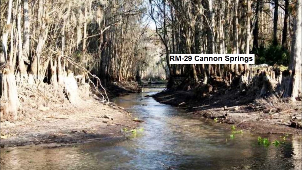 "Springs of the Ocklawaha River from Rodman Dam to Eureka Dam A Slide