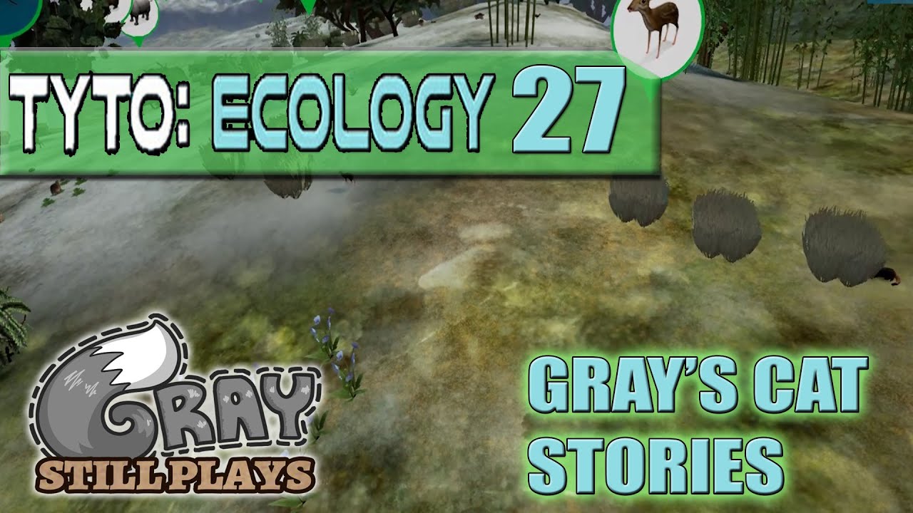 Tyto Ecology | Himalayan Asian Bears and Stories About Gray's Cats | Part  27 | Gameplay Let's Play - YouTube