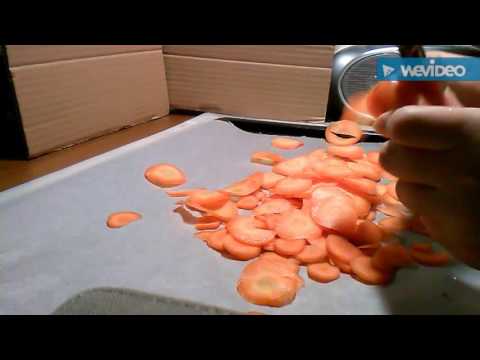 Video: Kuinka Voit Ruokkia Porkkanoita?