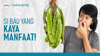 Meskipun Bau, Petai Punya Banyak Manfaat! | Hidup Sehat tvOne
