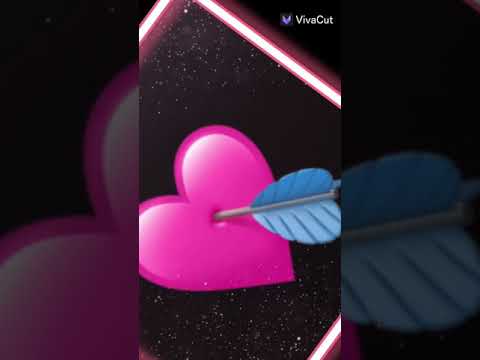 ياليلي ويا ليلى 