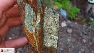 New Massive Chalcopyrite Showing Found! (Lucky Strike Property) $KLM
Mineralized areas, shear zones and massive chalcopyrite, phyrrotite and pyrite found. Samples were taken from each of the mineralized exposures during this recon day of mineral exploration. Gold prospecting in the area has recently revealed more mineral exposures.
More Videos: https://rumble.com/user/911EXPLORATIONCORP
KERMODE RESOURCES (TSXV:KLM)
Disclosure: https://linktr.ee/kermoderesources
Qualified Person: The technical information in this video has been reviewed and approved by Ms. Francine Long, P. Geo, a Qualified Person responsible for the scientific and technical information contained herein under National Instrument 43-101 standards. Any historical work and conclusions described above were carried out by arm’s length third parties. New Massive Chalcopyrite Showing Found! (Lucky Strike Property) $KLM